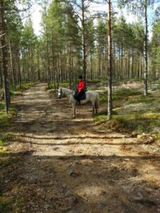img-20170623-wa0008