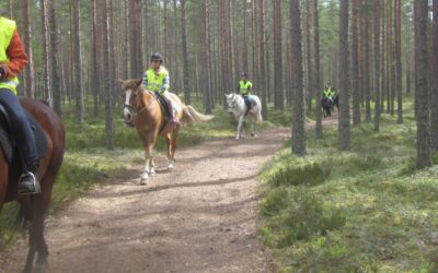 Talli avoinna parillisten viikkojen Lauantaisin!