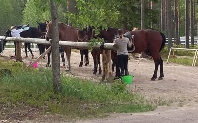 Hoito 1 ja 2 kerho jatkuu sunnuntaisin