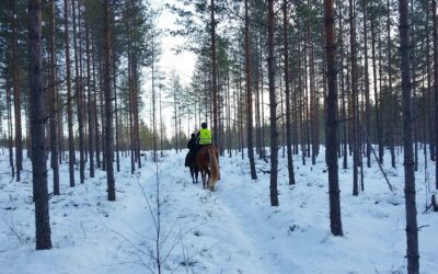 Naistenpäivän maastoon huokeammin